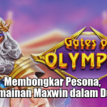 membongkar-pesona-pola-permainan-maxwin-dalam-dunia-slot